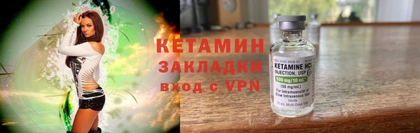 трава Белокуриха