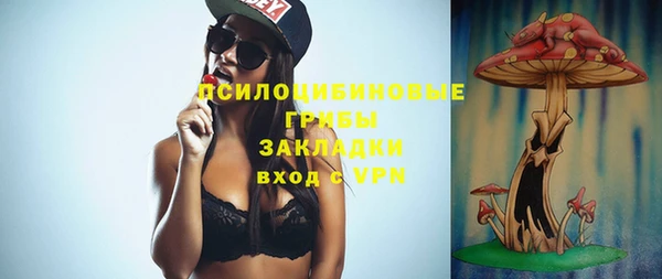 трава Белокуриха