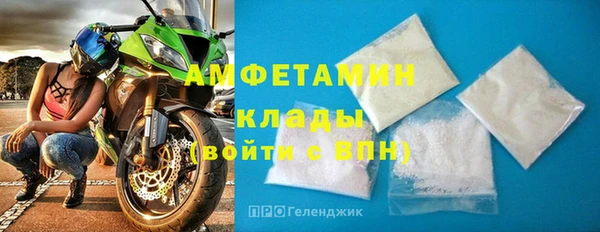 гидра Рославль