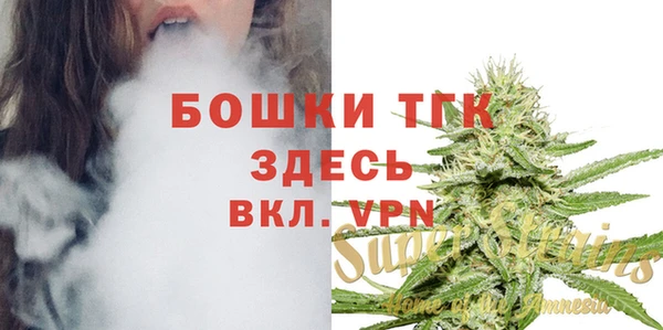 трава Белокуриха