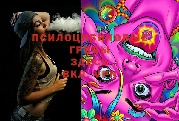 трава Белокуриха